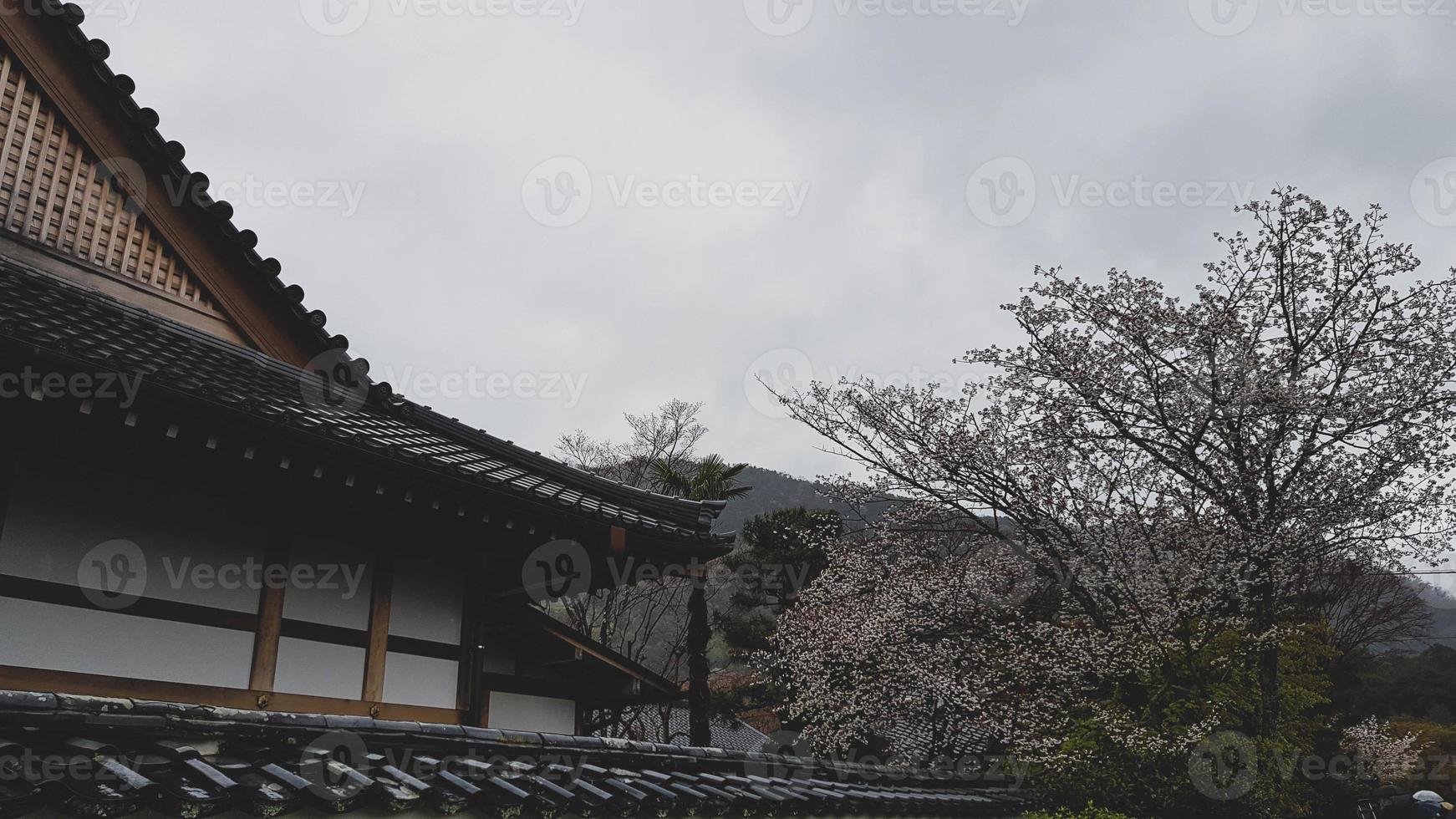 kers bloesems zijn bloeiend in een dorp in Kyoto foto