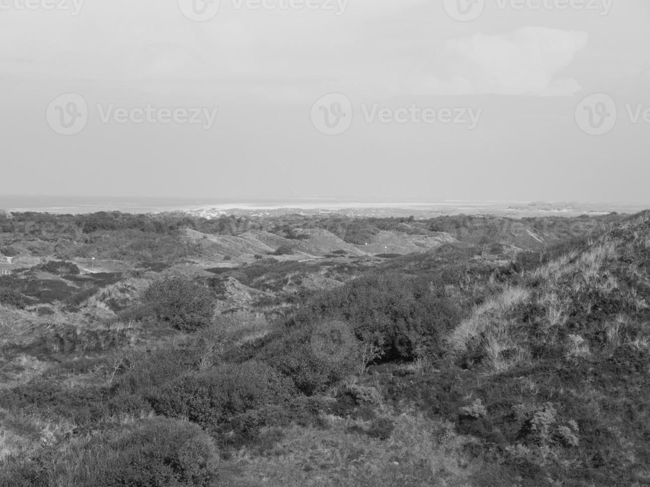 het eiland Spiekeroog foto