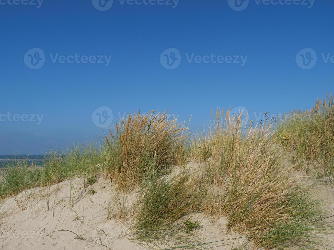 het eiland Spiekeroog foto