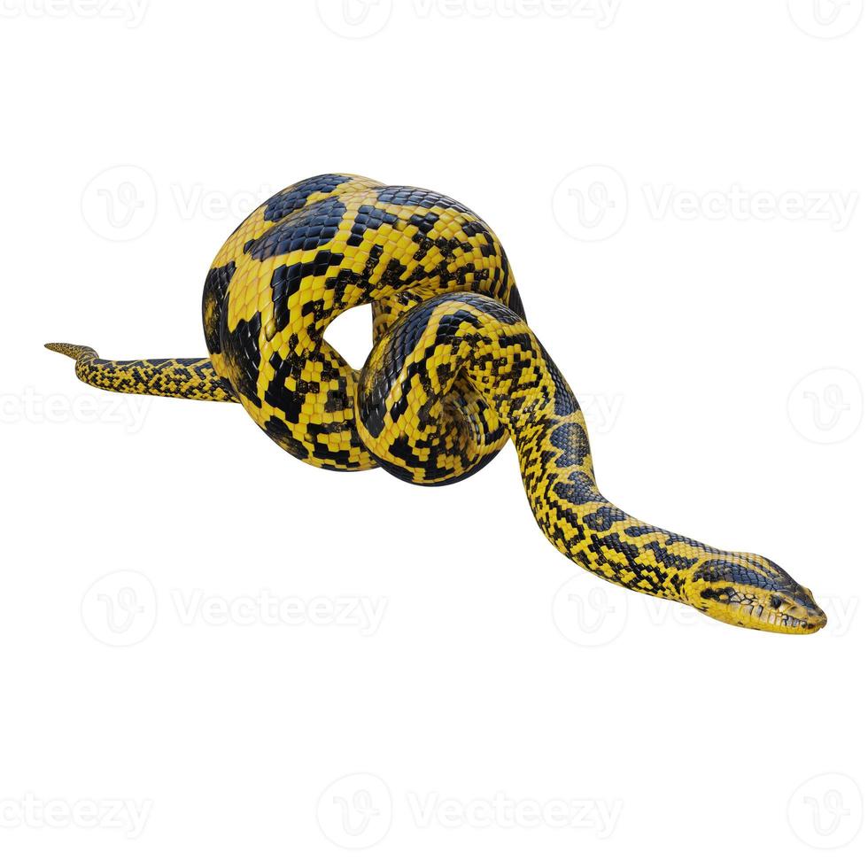 geel anaconda 3d illustratie foto