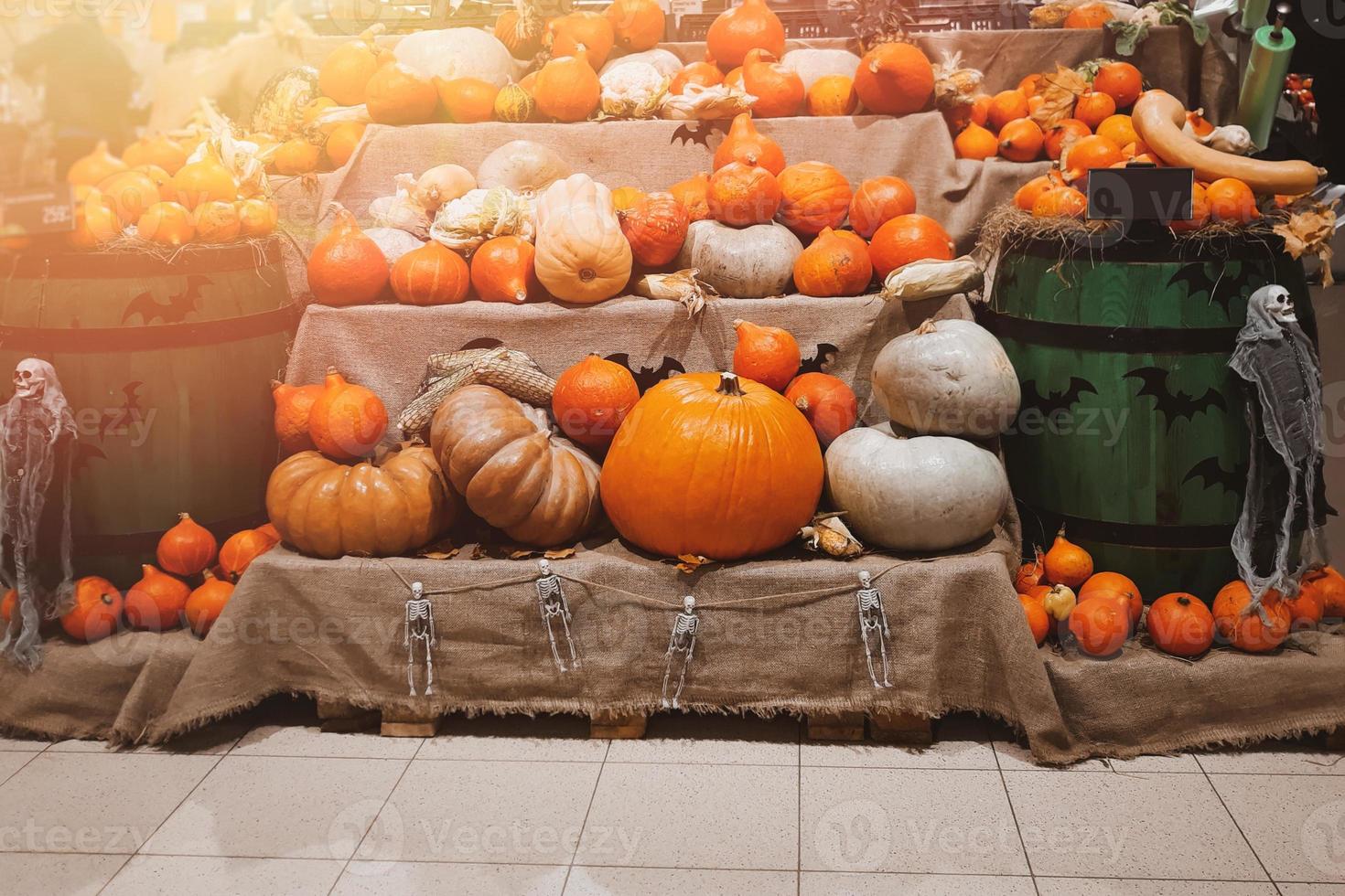 vers pompoenen Aan schappen voor uitverkoop. oogst, halloween en dankzegging symbool. rijp groenten Bij boeren markt foto