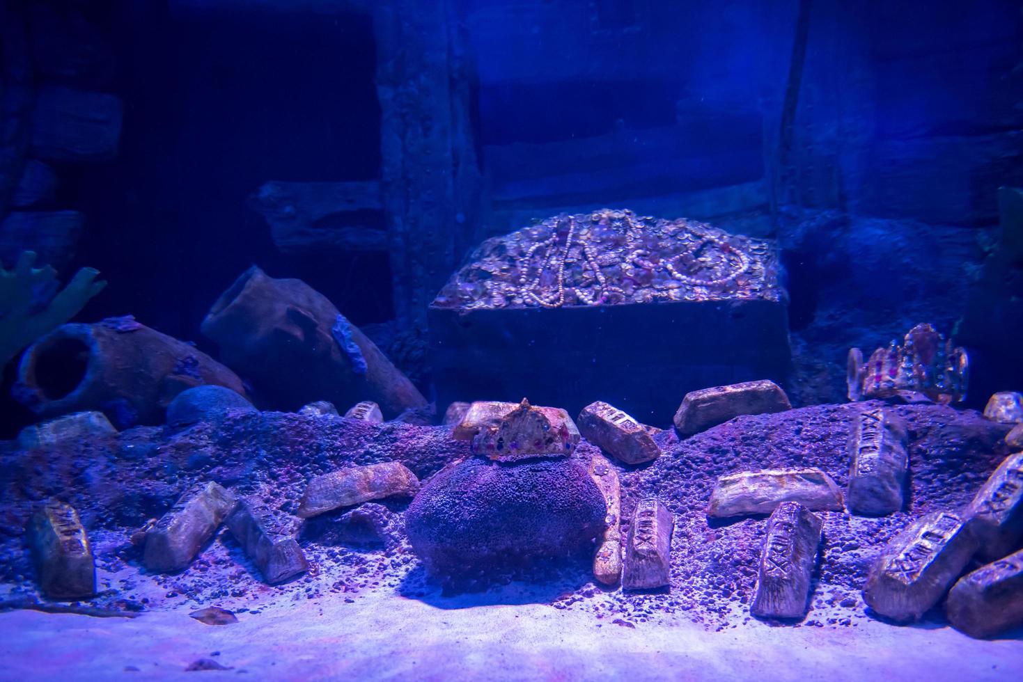 leeg aquarium decor foto