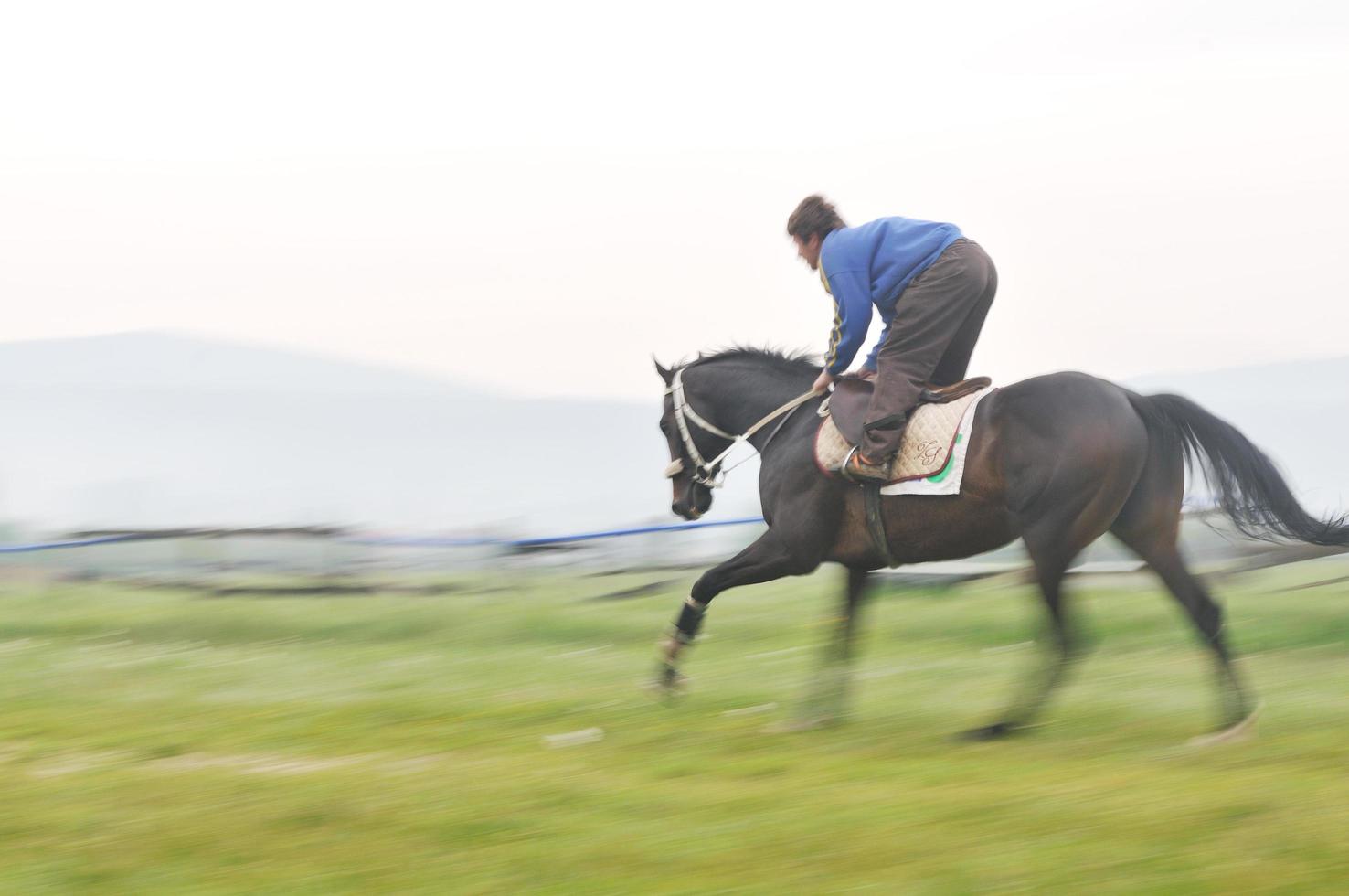 paard natuur visie foto