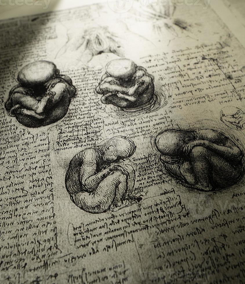 anatomie kunst door leonardo da vinci in Kandy medisch tentoonstelling foto
