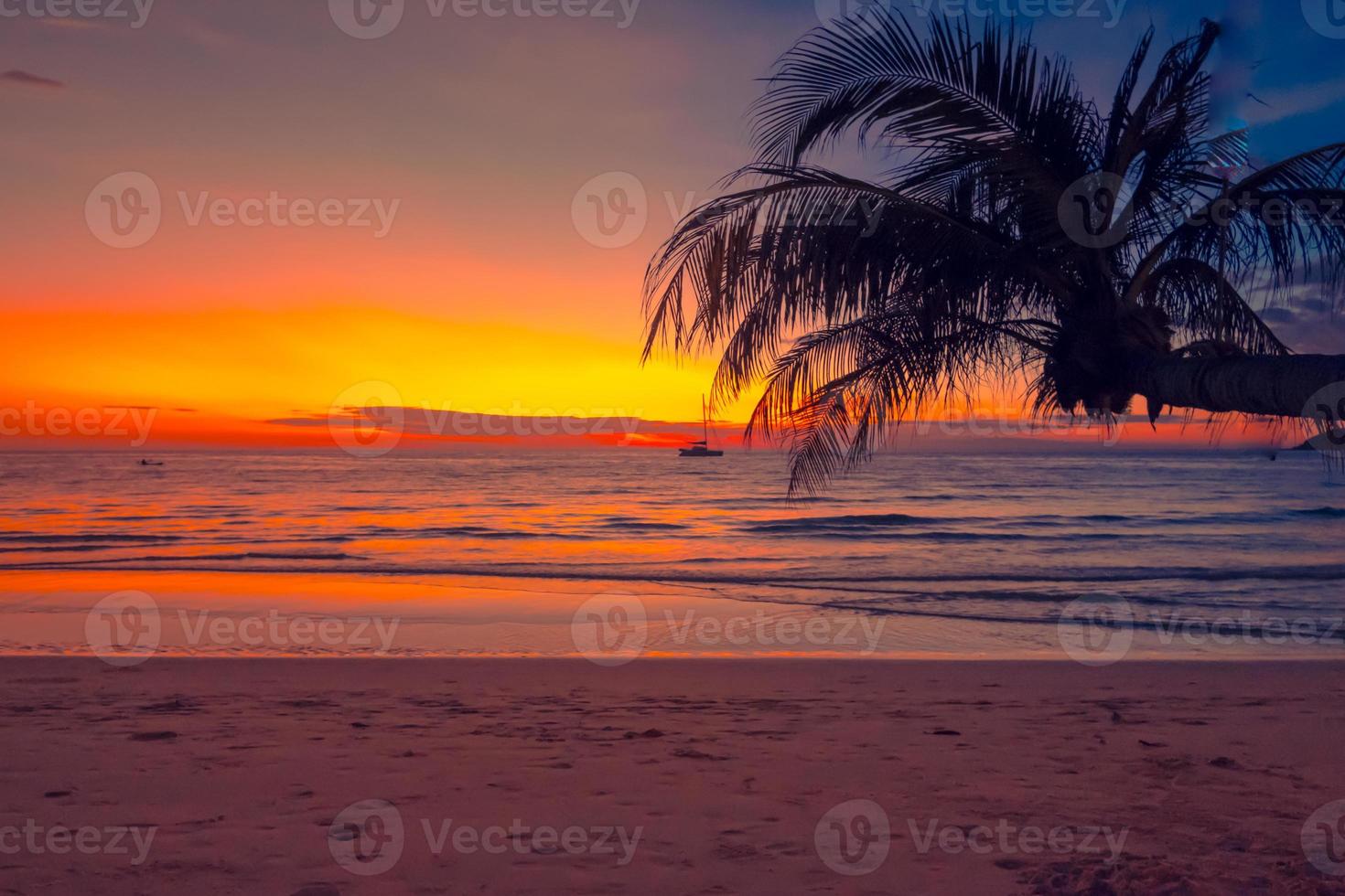 mooi zonsondergang over- de zee met palmen boom Aan tropisch strand de kleurrijk van de lucht bovenstaand de zee voor reizen en vakantie foto