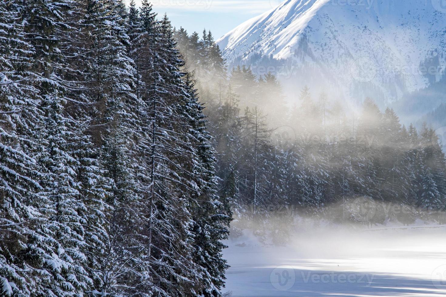 bevroren alpine meer mist foto