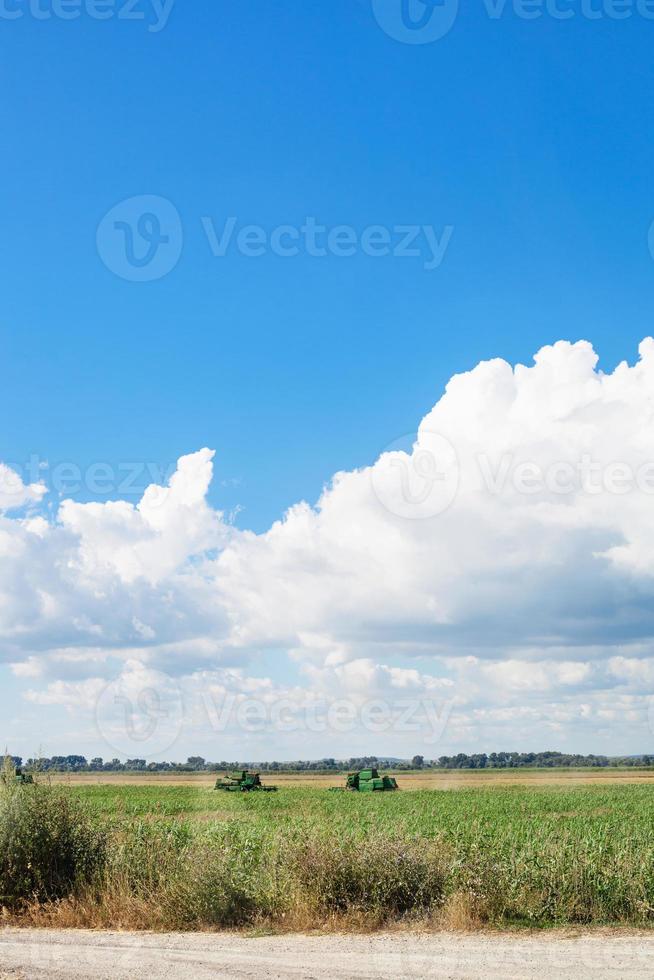 land landschap met agrarisch veld- en blauw lucht foto