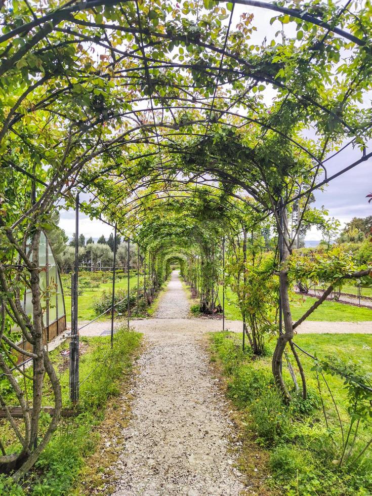 roos tuin pergola foto