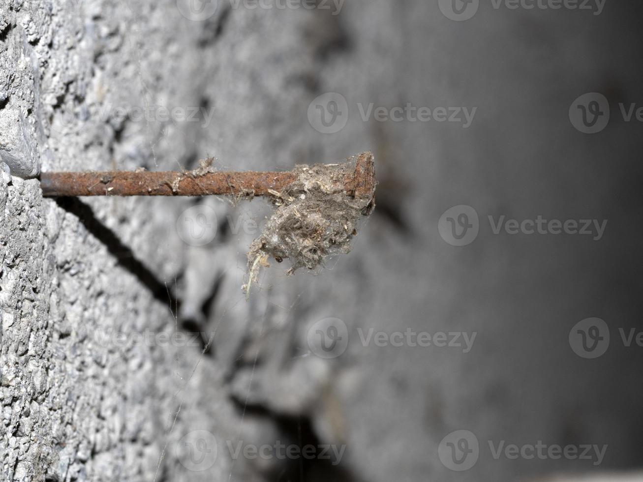 oud verroest piek gedekt door spin web foto