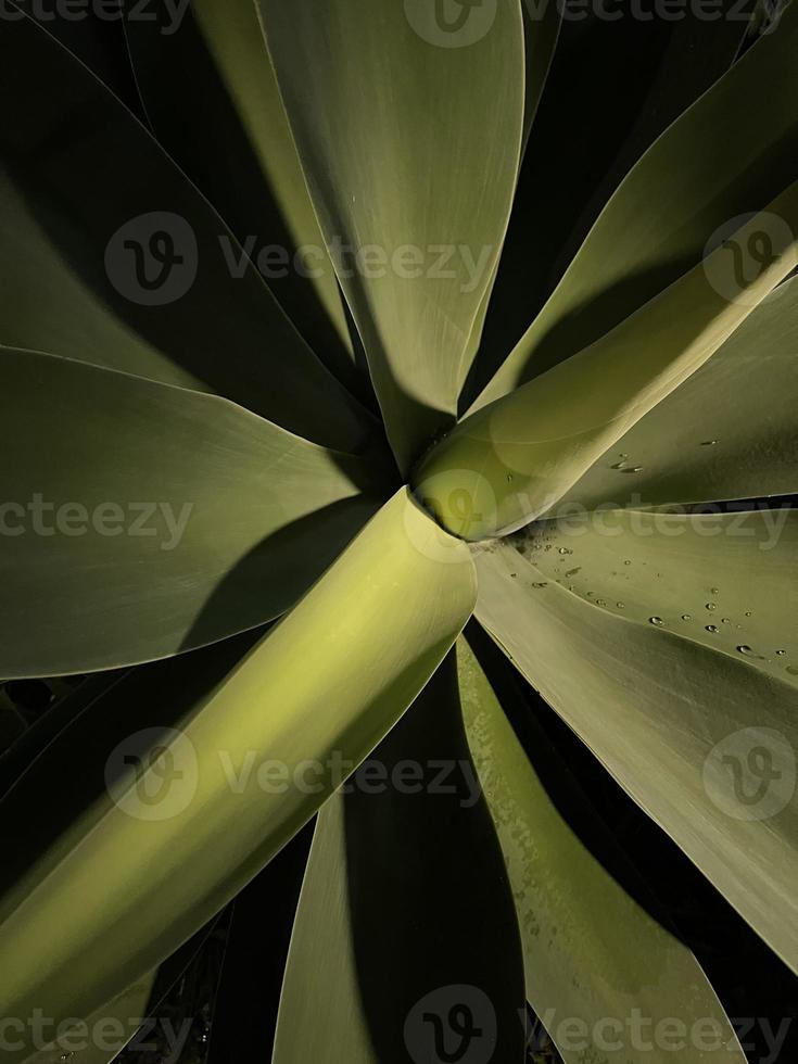 fabriek toenemen Aan de donker nacht foto