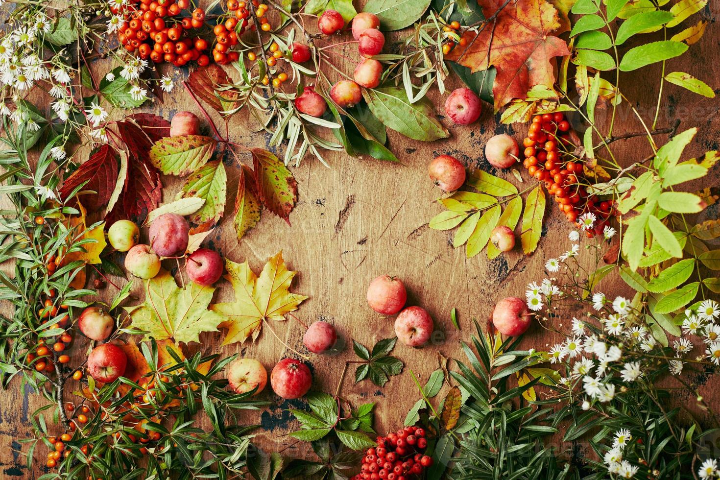 rood lijsterbes bessen, klein appels, zee duindoorn, wild druif takken, esdoorn- bladeren en herfst wit wilde bloemen. herfst achtergrond, oogst nog steeds leven Aan houten bord. foto