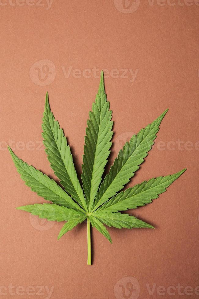 marihuana foto