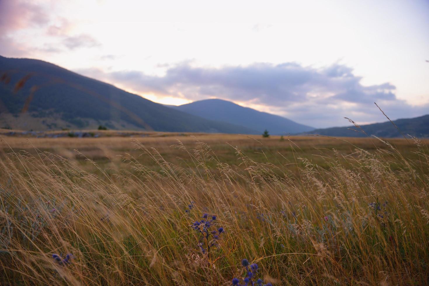 zomer landschapsmening foto