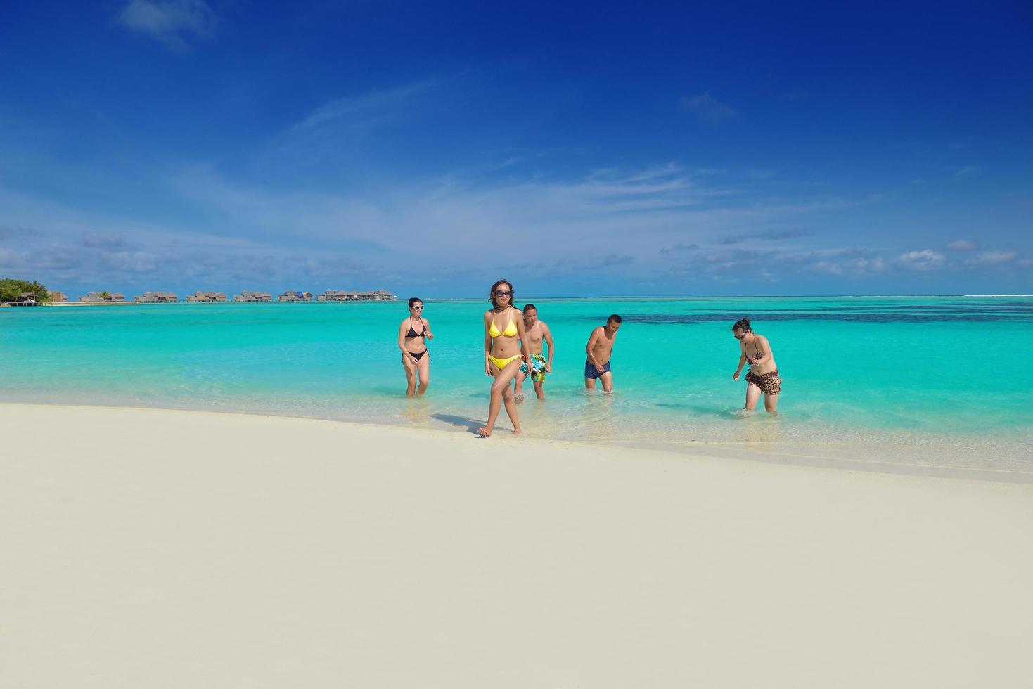 groep van gelukkig jong mensen hebben pret Aan bach foto