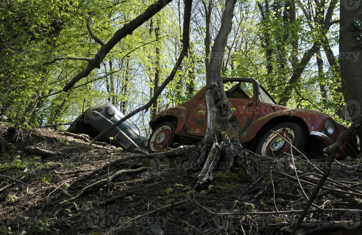 verlaten oud auto's in een Woud foto