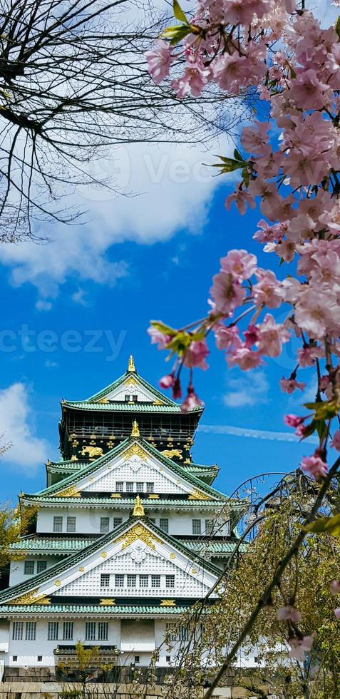 landschap foto van Osaka kasteel in lente, waar Daar zijn nog steeds sommige kers bloesems nog steeds in bloeien.