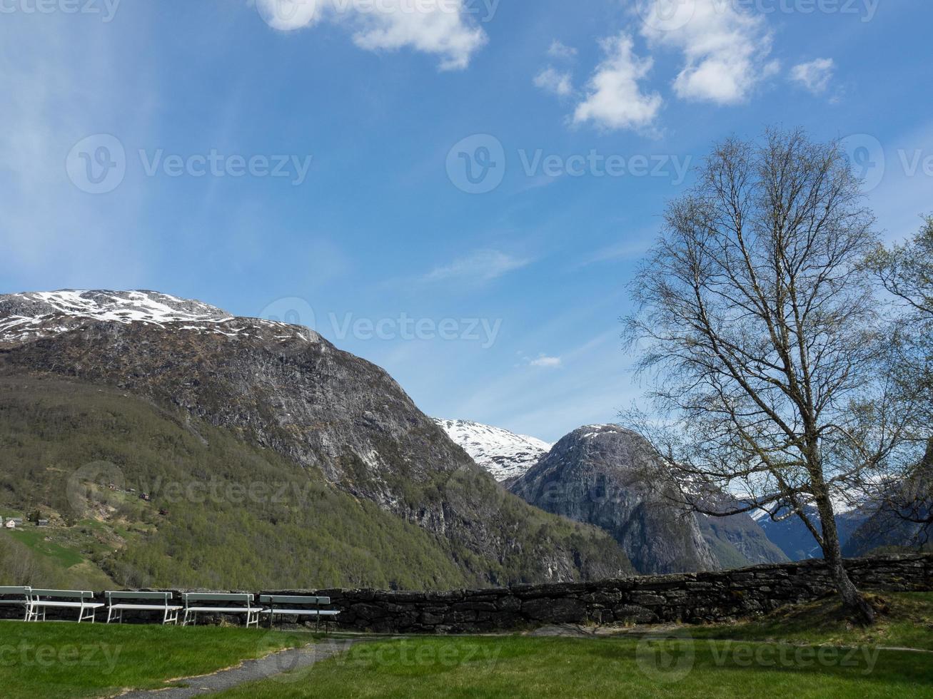 voorjaar tijd in vlam Noorwegen foto