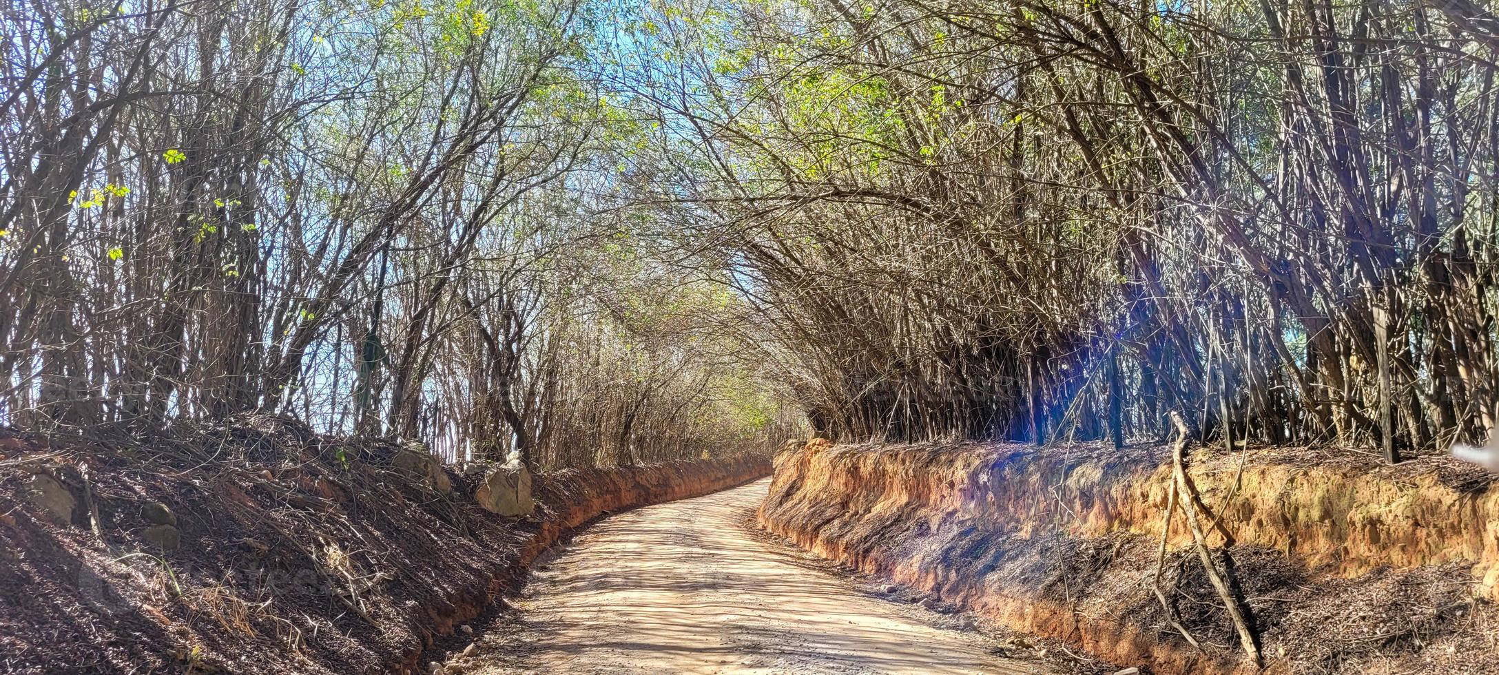 boerderij landschap visie in de platteland van Brazilië foto