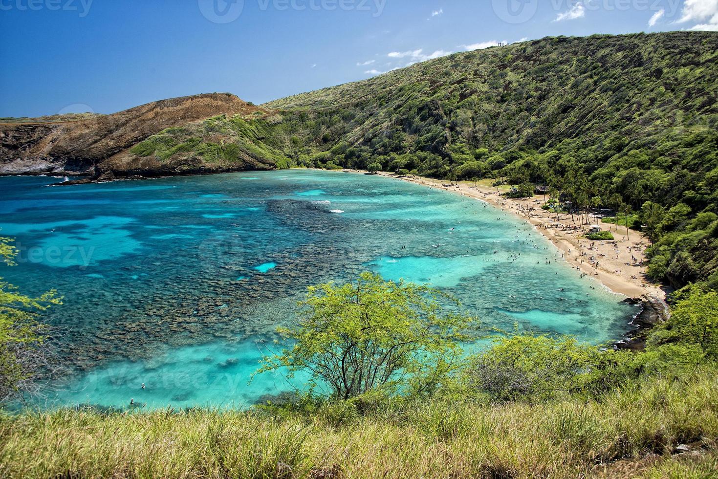 Hawaii oahu hanauma baai visie foto