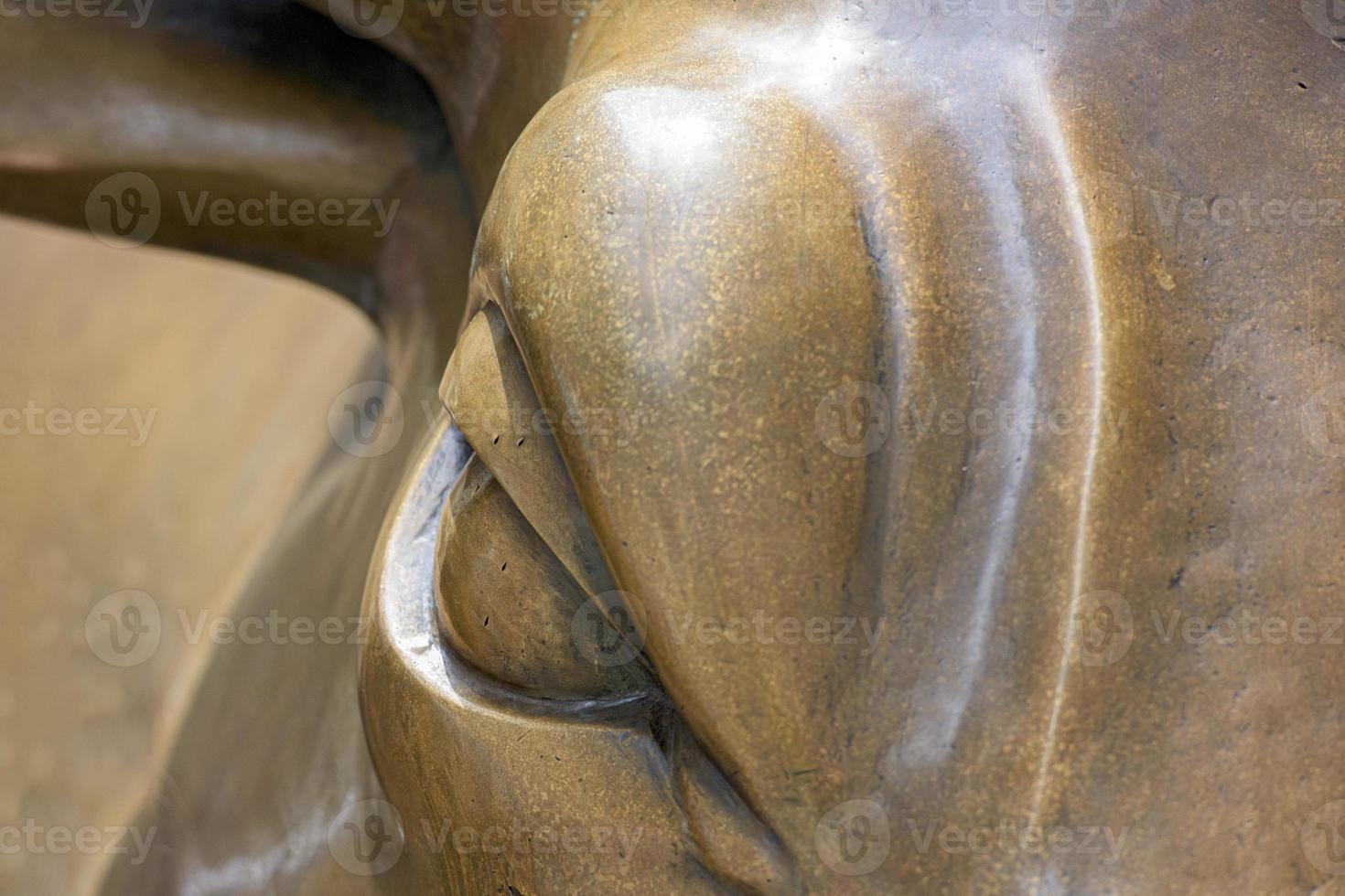 stier oog detail Aan muur straat voorraad uitwisseling nieuw york stad foto