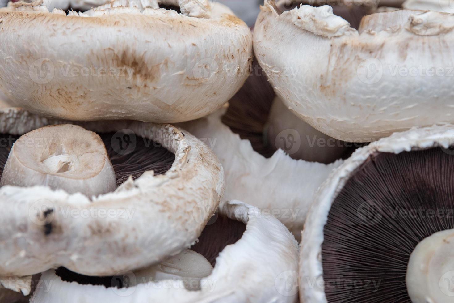 biologisch fruit en groenten paddestoel foto