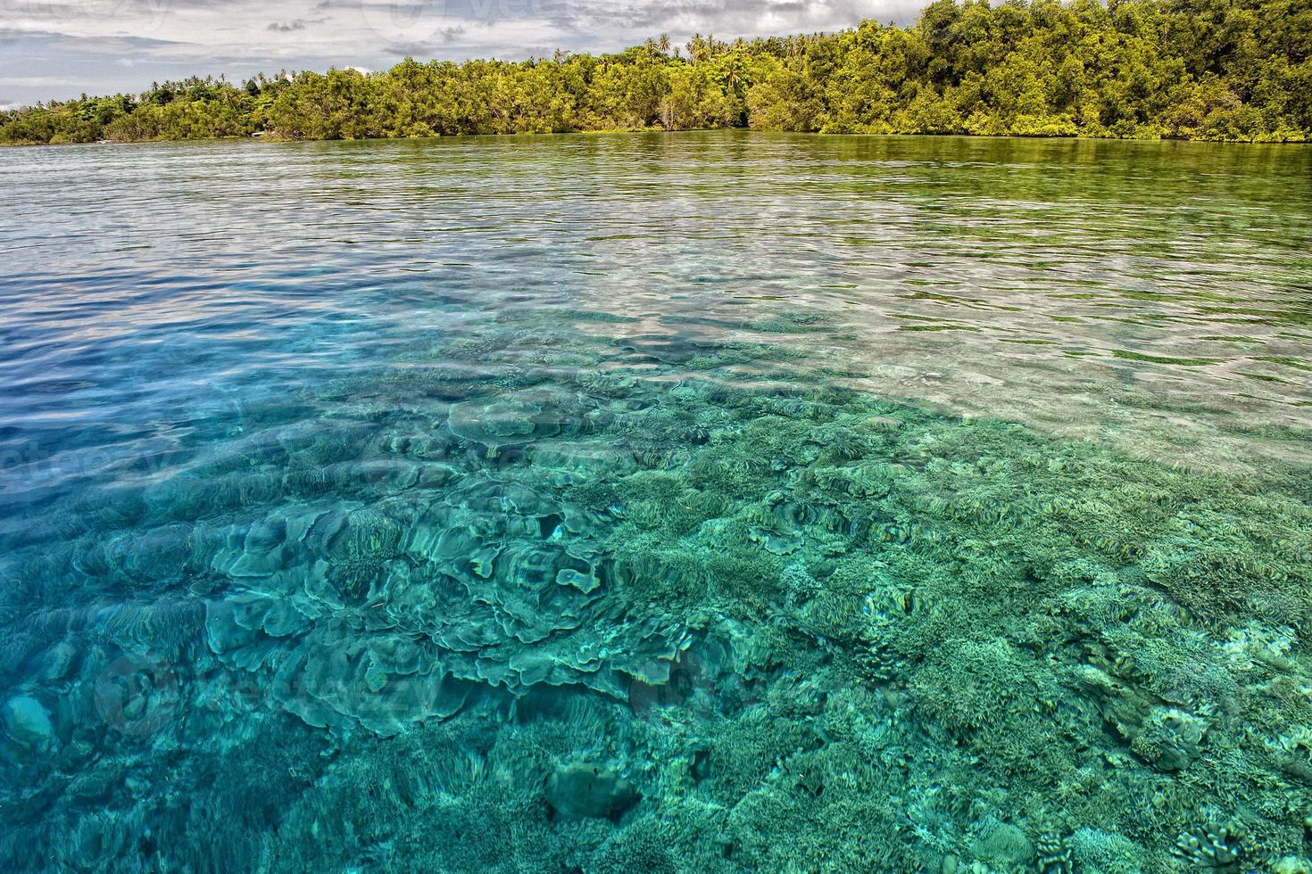 Doorzichtig lichten Aan de rif in tropisch paradijs foto