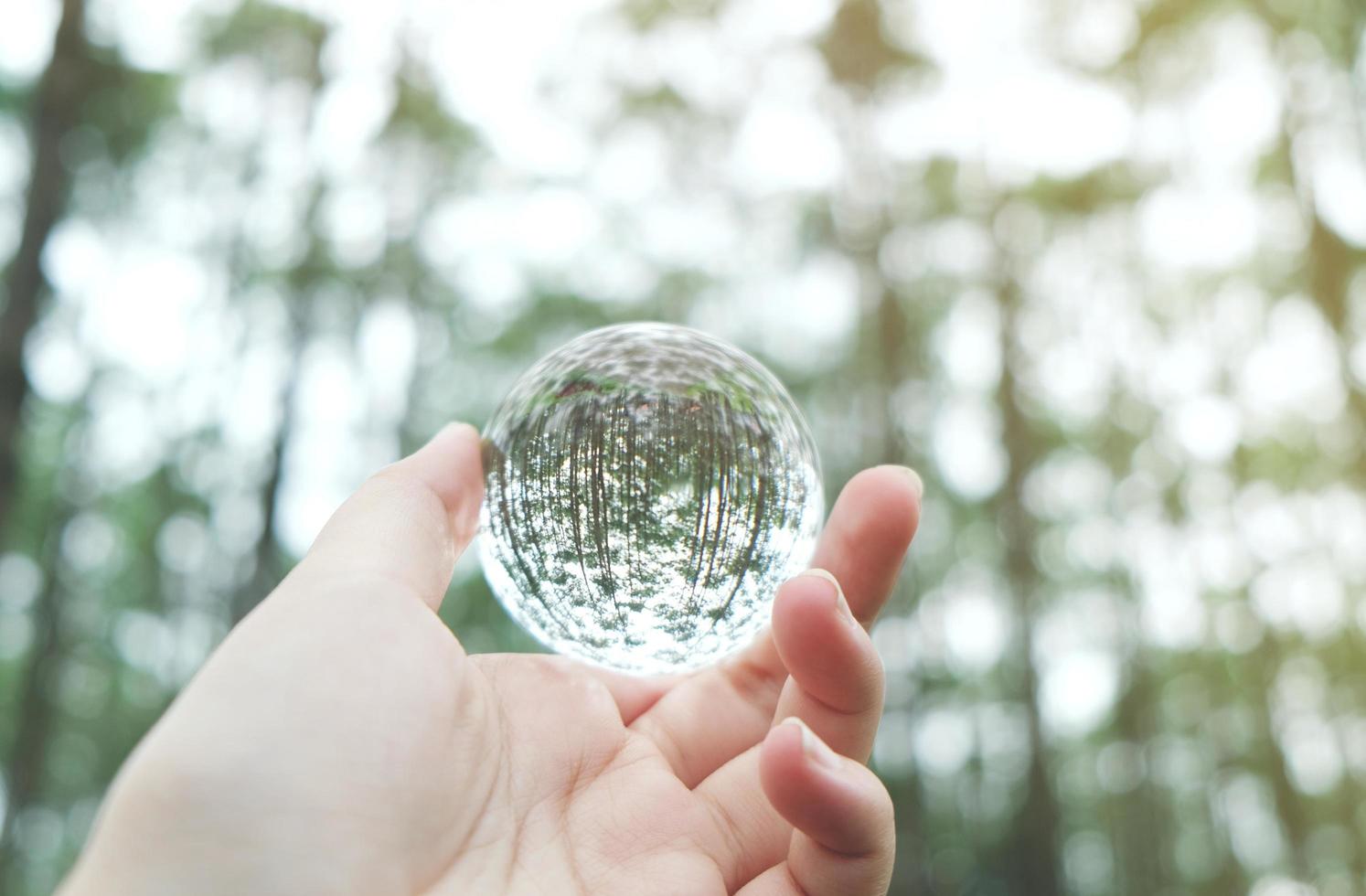 kristallen glazen bol in de natuur foto