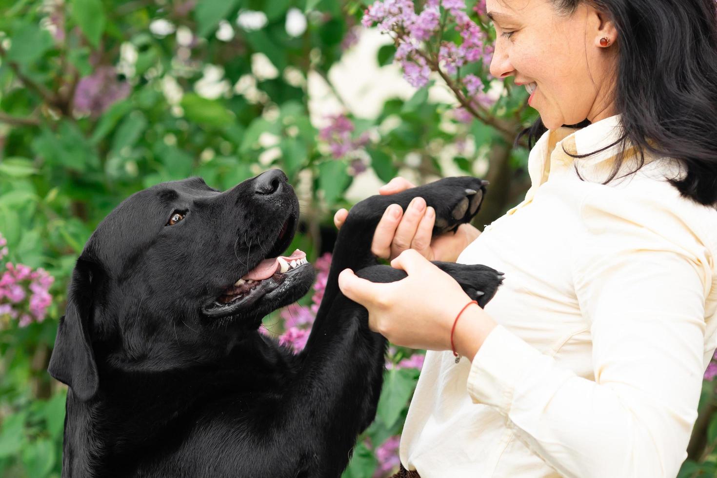 zwarte labrador retriever met eigenaar foto