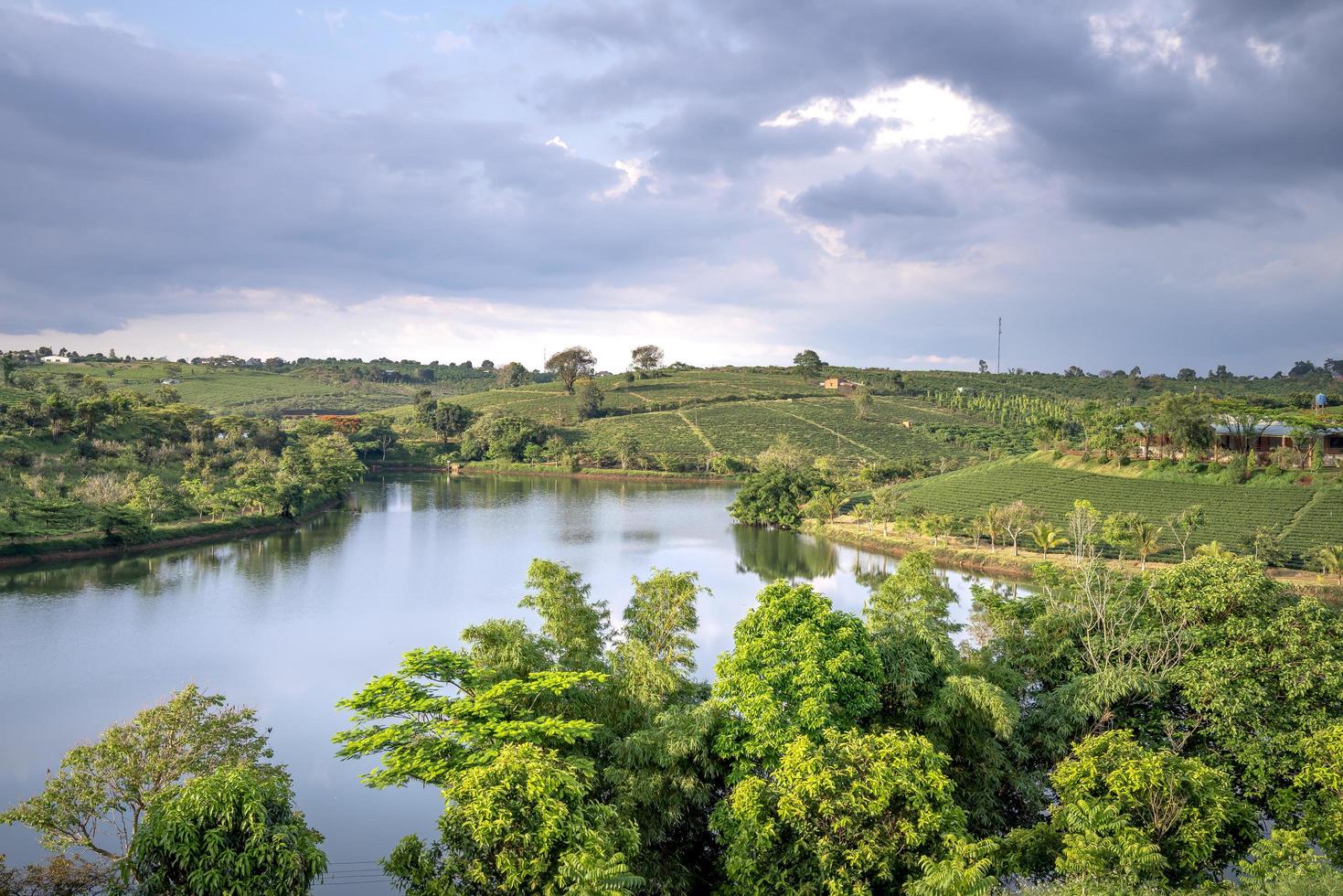 bomen met uitzicht op rivier foto