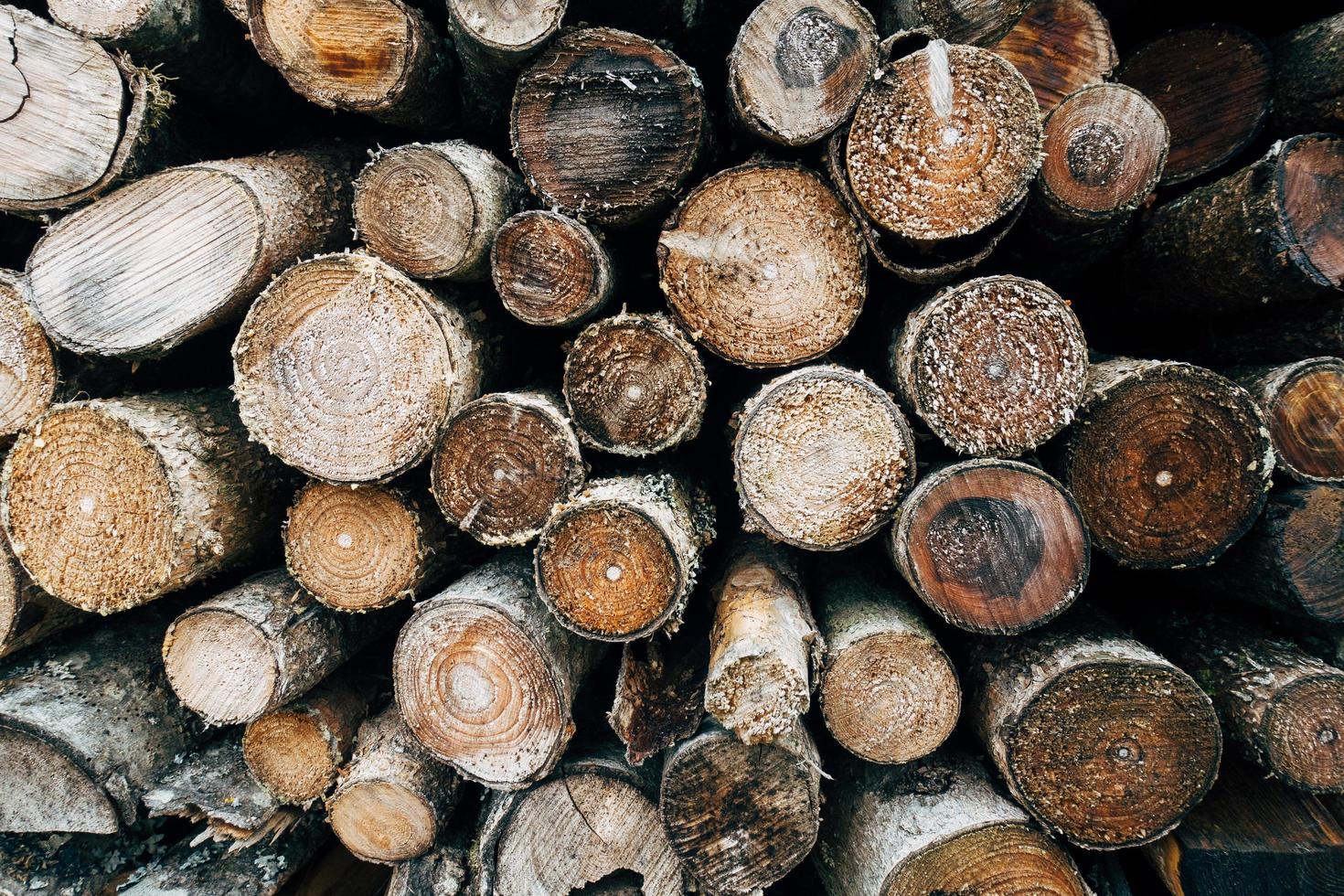 stapel hout logboeken foto