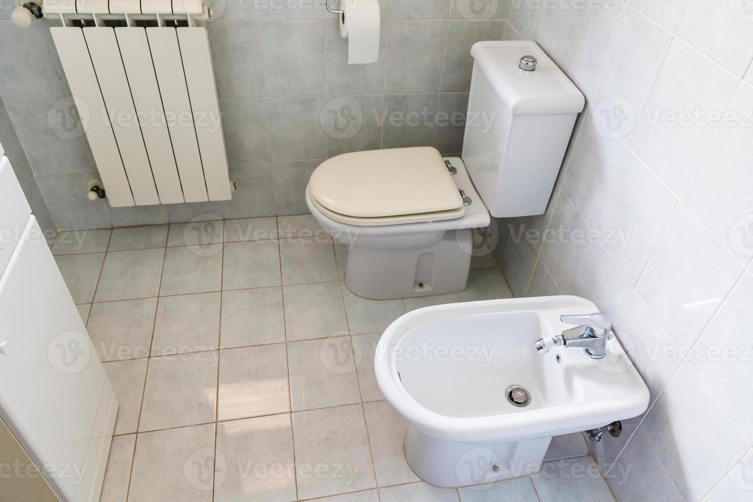 binnen- van typisch wit toilet kamer foto