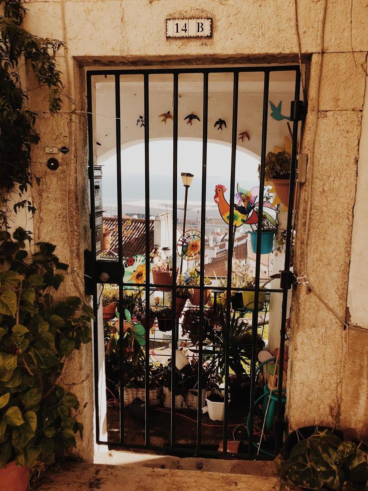 bloemen gezien door zwarte metalen poort foto