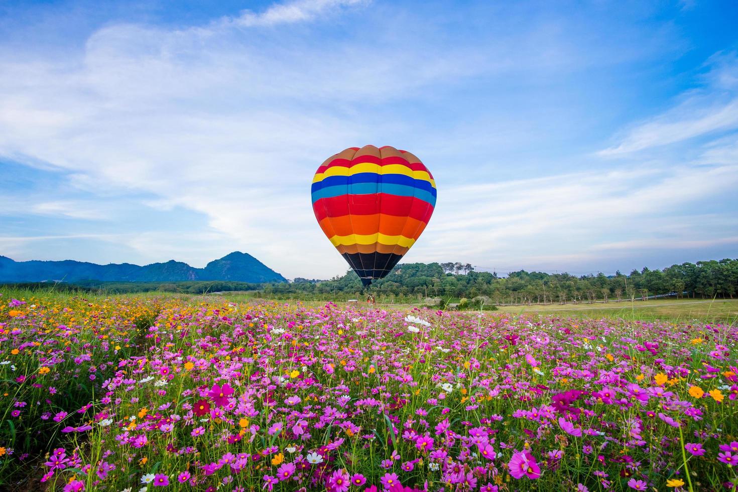 hete luchtballon die op gebied van bloemen landt foto