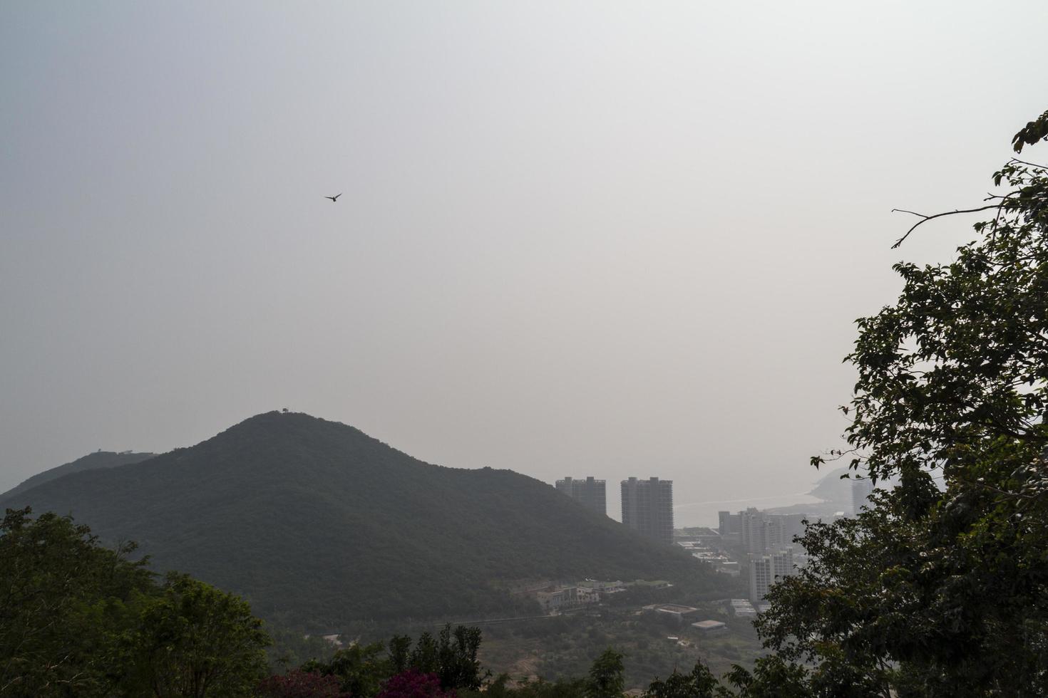 chinese jungle, eiland hainan foto