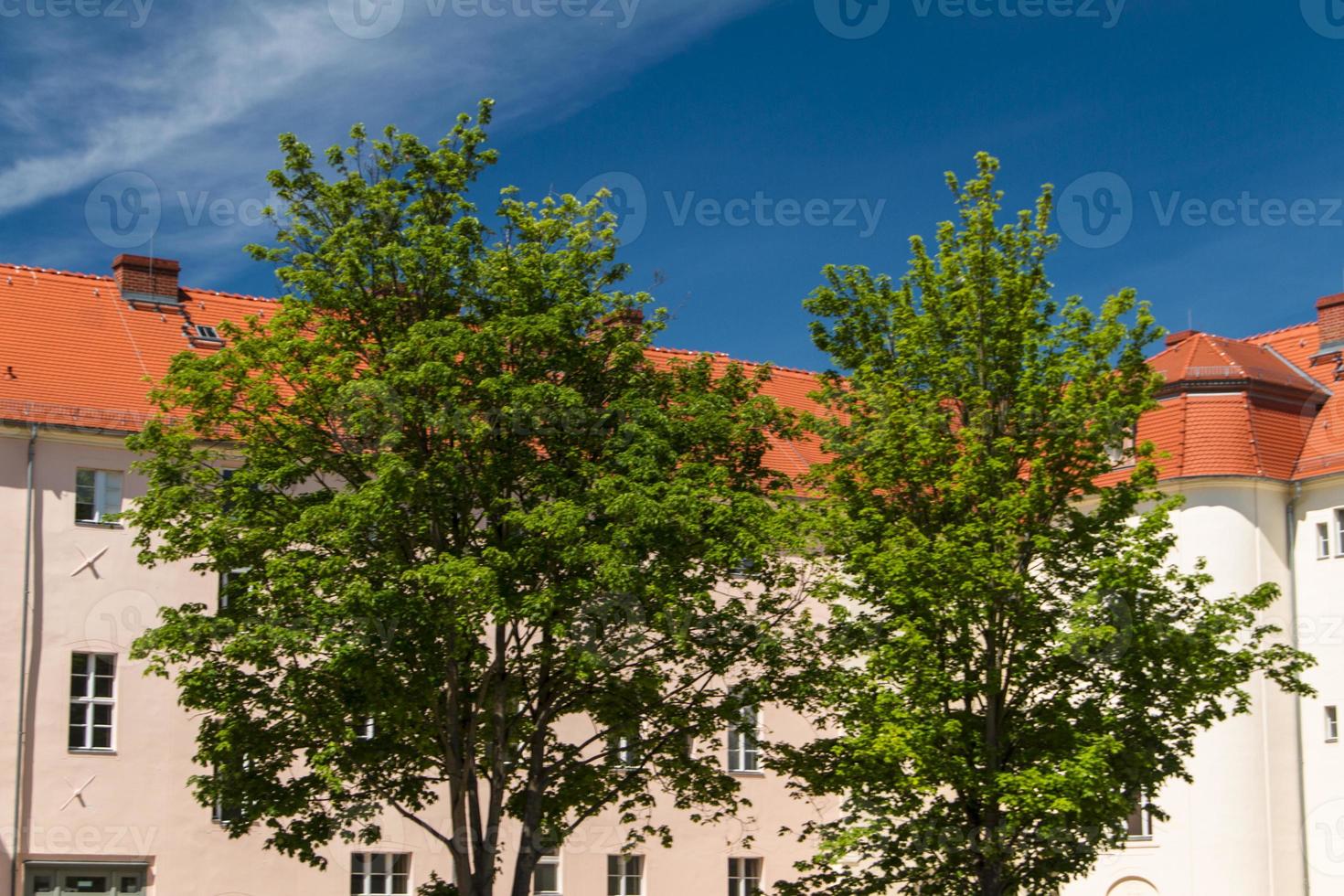 potsdam stad oud gebouwen foto