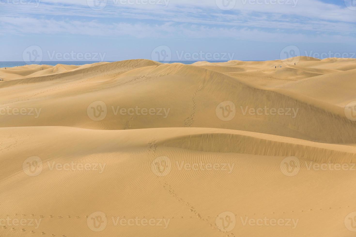 maspalomen duna - woestijn in kanarie eiland oma canaria foto