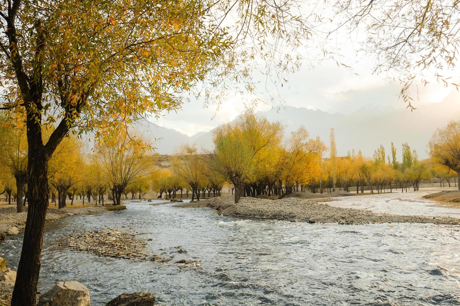 rivier die door kleurrijk gebladertebosje stroomt in de herfst foto