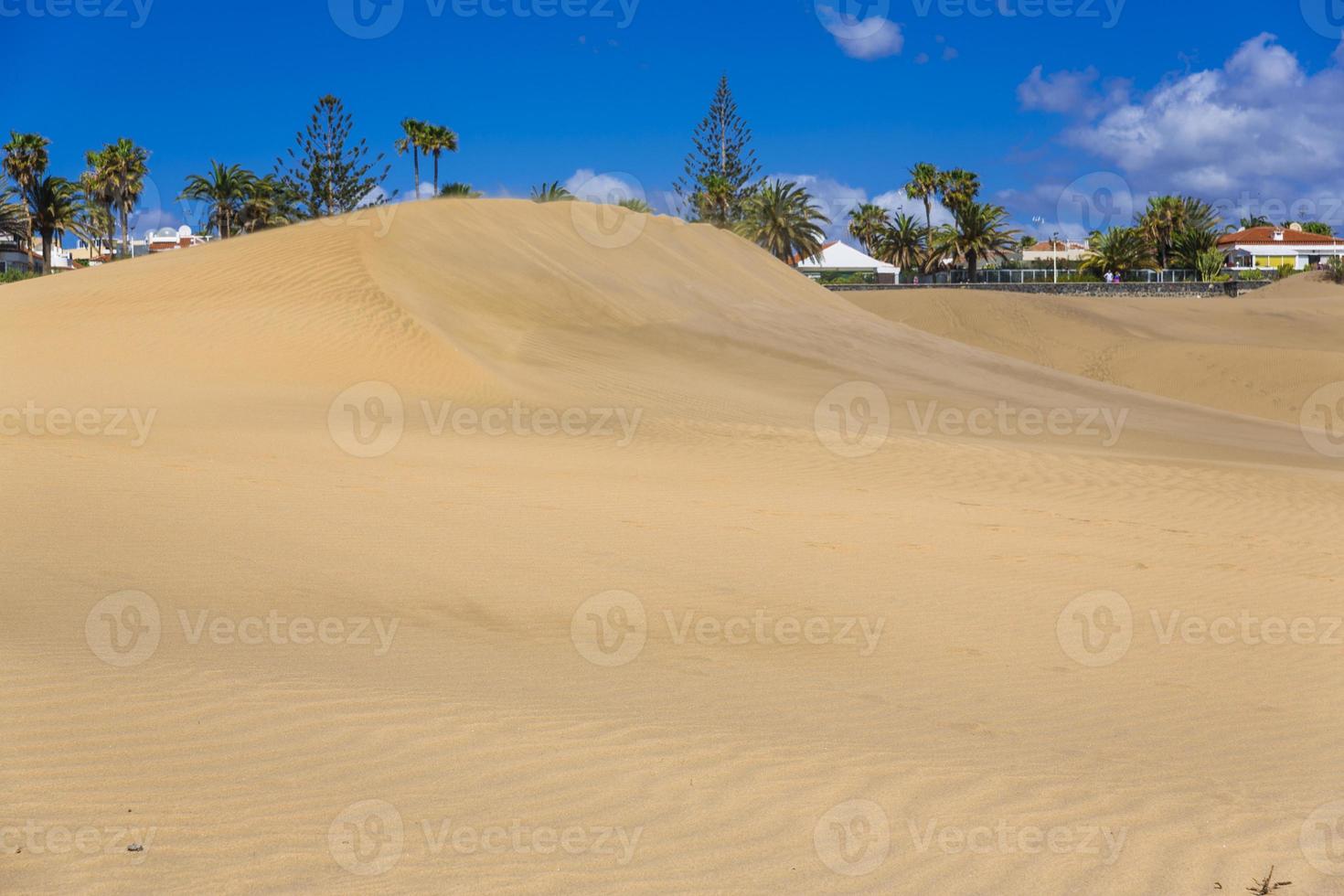 maspalomen duna - woestijn in kanarie eiland oma canaria foto