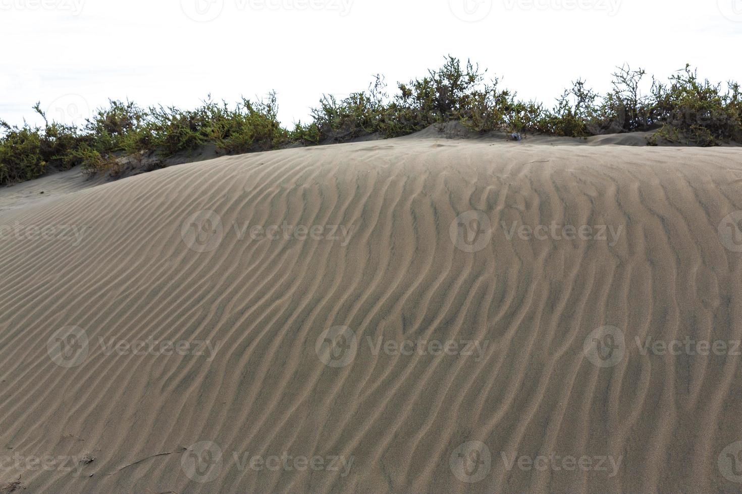 maspalomen duna - woestijn in kanarie eiland oma canaria foto