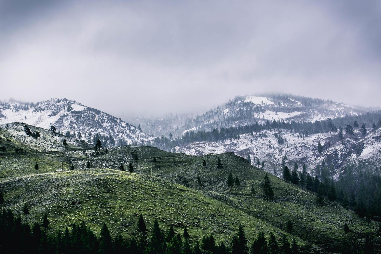 groene bergen bedekt met sneeuw foto