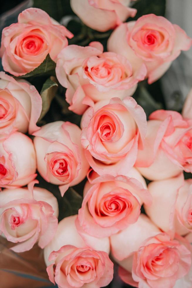 close-up van roze rozen foto