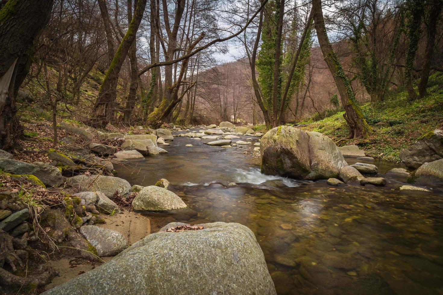 stromende rivier in het bos foto