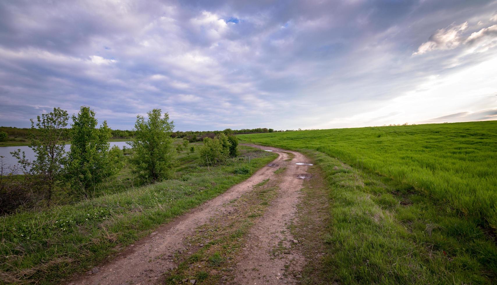 groen grasveld foto