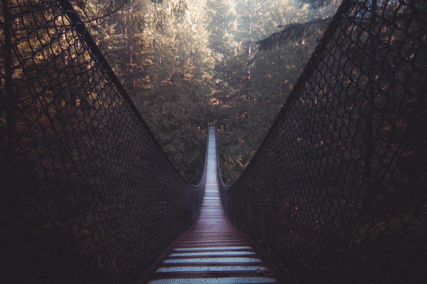 houten brug in het bos foto
