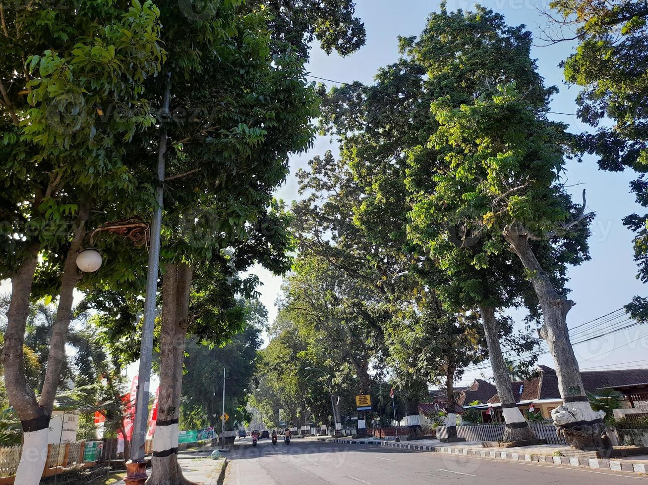 de atmosfeer van de weg Aan de eiland van lombok waar beide zijden van de weg zijn overwoekerd met bomen foto