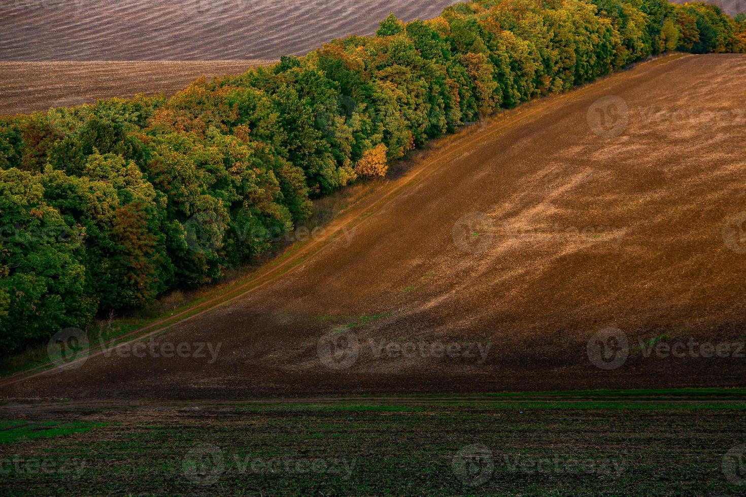 beeld van een landschap met vruchtbaar bodem van de republiek van Moldavië. zwart akkerbouw land- mooi zo voor zaaien. ecologisch landbouw. foto