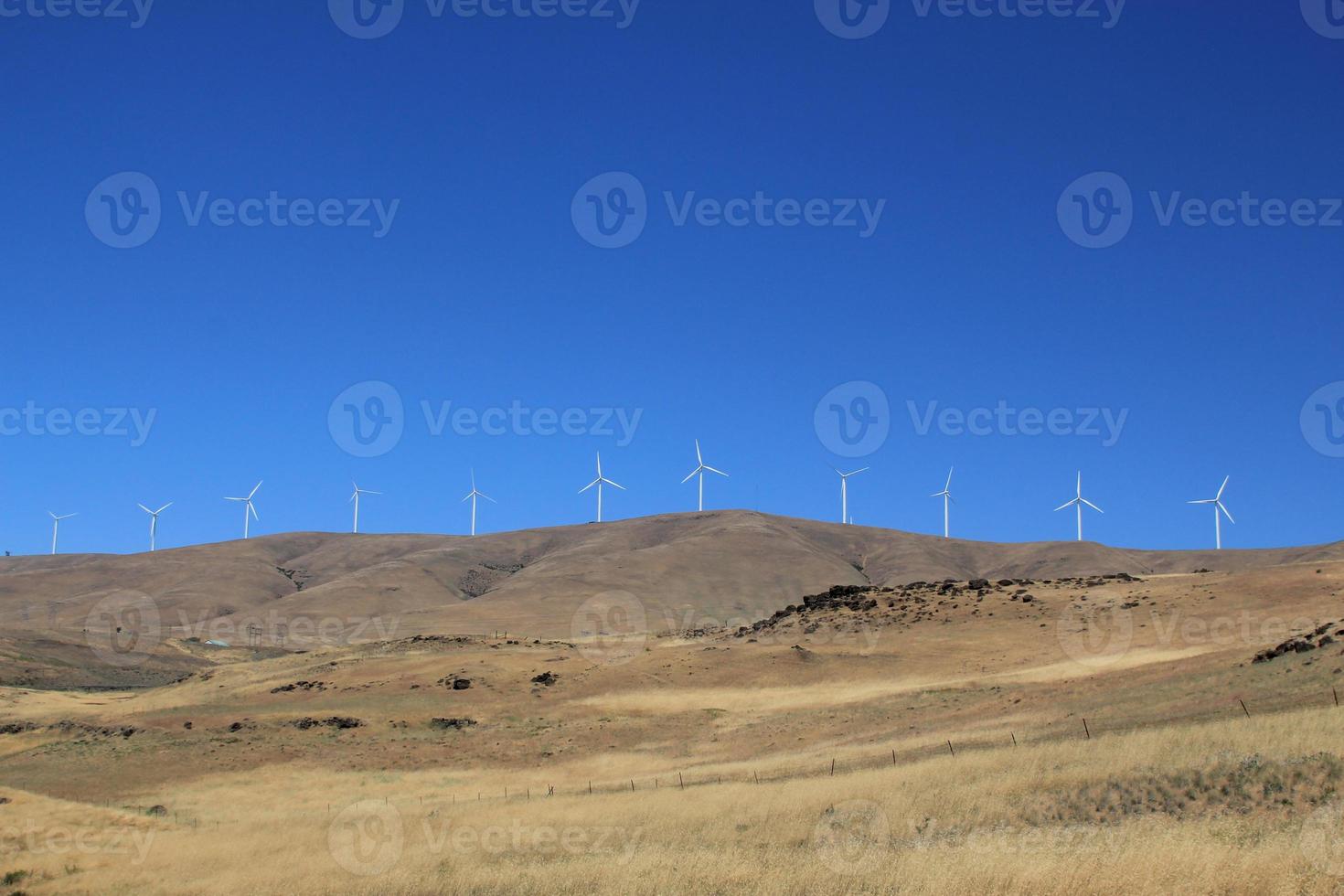 windturbines foto