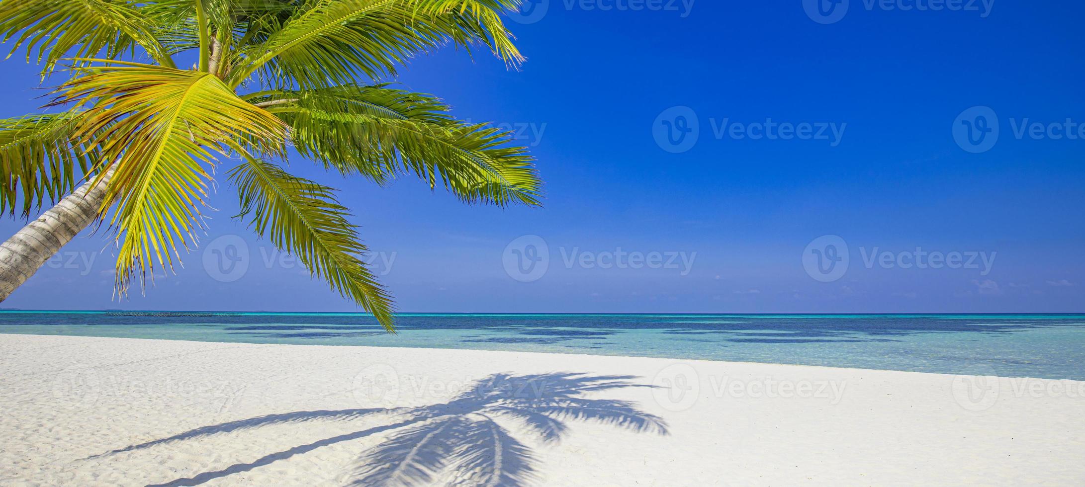 tropisch strand panorama net zo zomer landschap met vrijheid gevoel, recreatief toneel. palm boom bladeren, kalmte zand zee voor strand spandoek. exotisch eiland kust, mooi natuur oever, zonnig blauw lucht foto