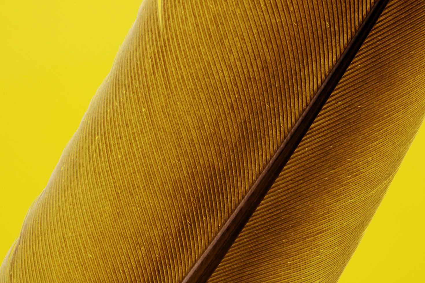 bruin veer geel textiel foto
