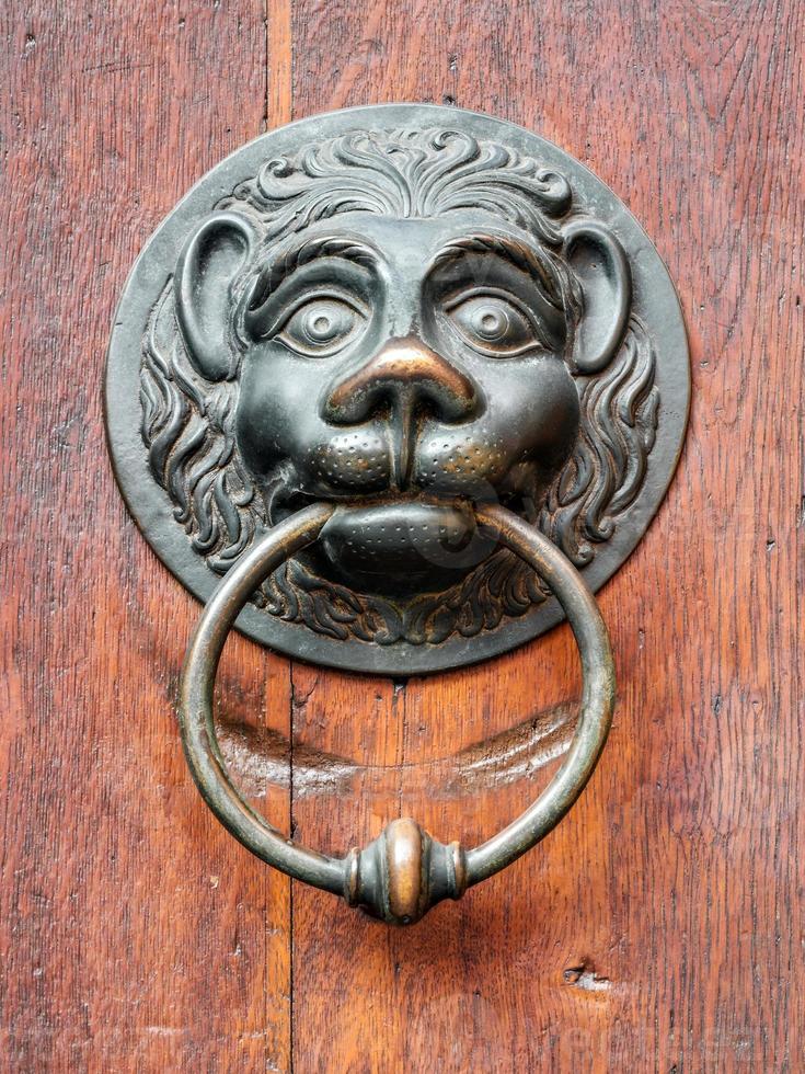 vintage leeuw deurknop op antieke deur, achtergrond foto